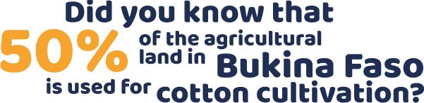 Wusstest du, dass in Bukina Faso 50% der landwirtschaftlichen Nutzfläche für Baumwollanbau genutzt wird? 